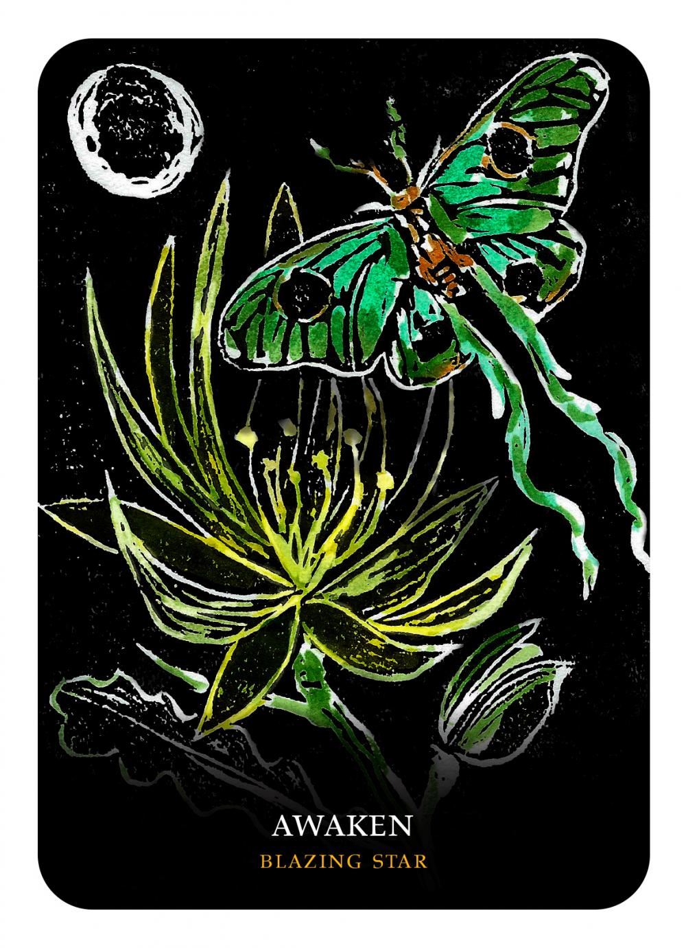 Flowers of the Night Oracle Cards